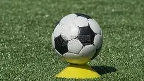 BB贝博艾弗森体育